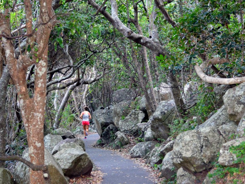 Burleigh Heads National Park Track Burleigh Heads National Park Track