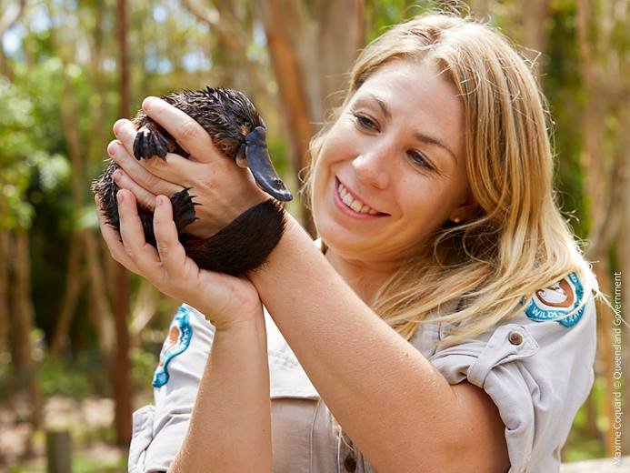 Photo from Queensland National Parks //Facebook