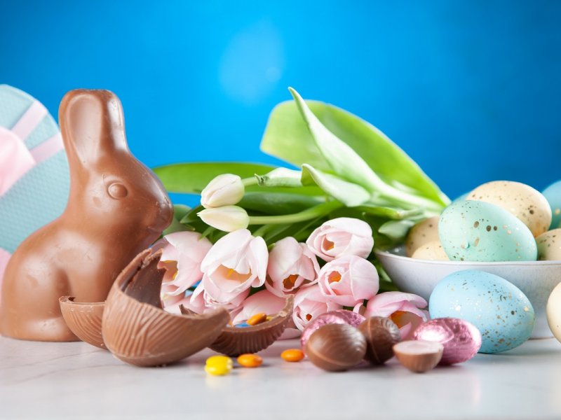 Easter Rabbit Photo By Giftpundits Easter Rabbit Photo By Giftpundits