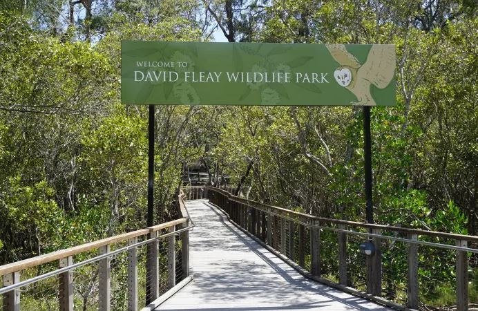 Where To Visit In Gold Coast